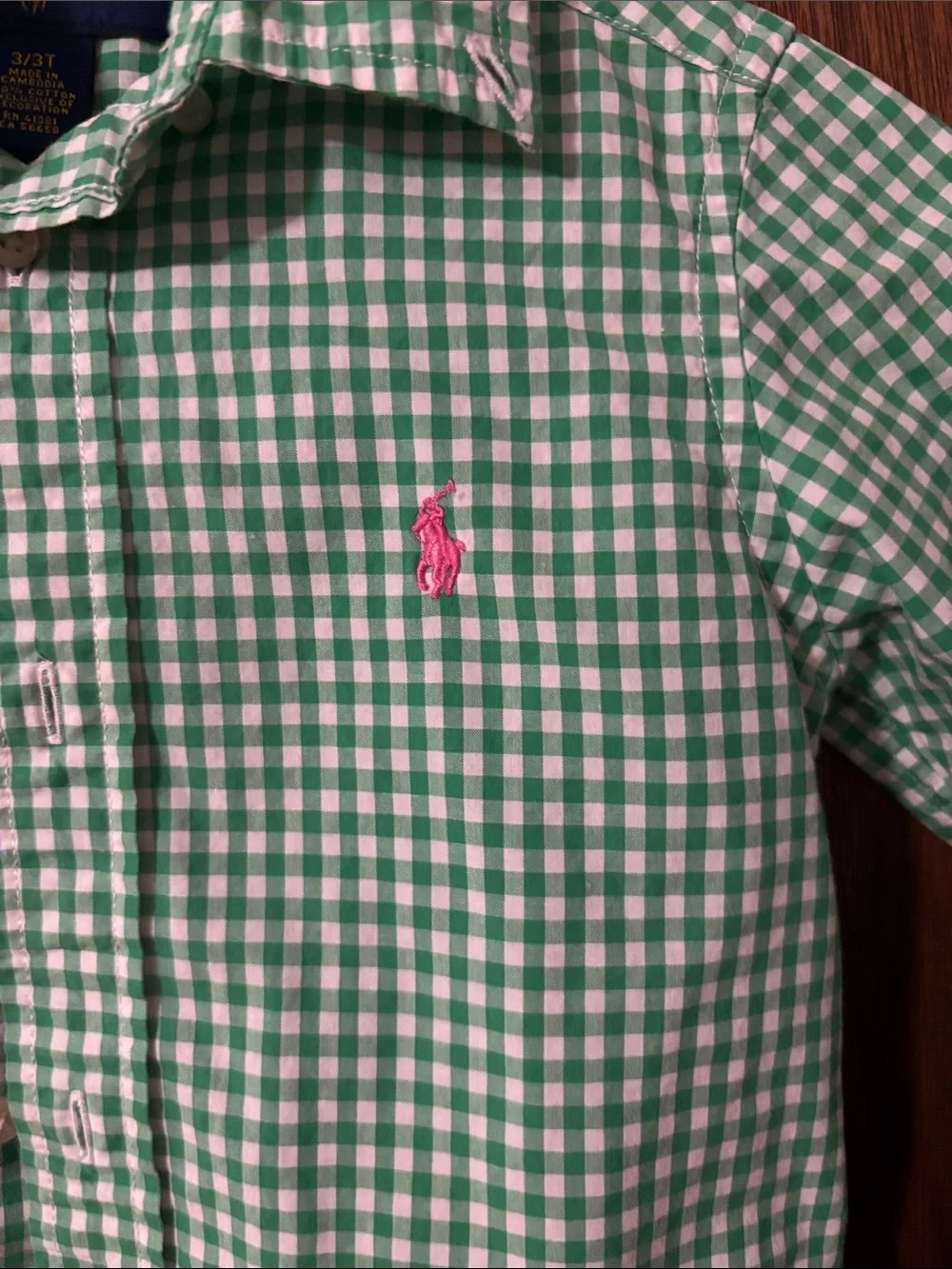 Ralph Lauren Green Gingham Button-Down Shirt with Pink Pony